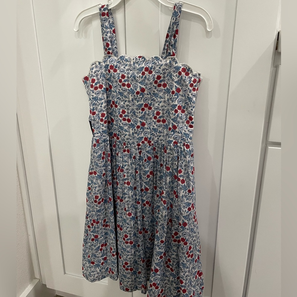 Hope & Henry Red and Blue Ditsy Floral dress size 5